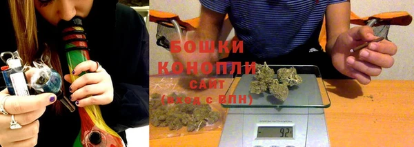 шишки Балабаново