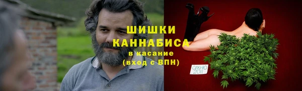 эйфоретик Арсеньев