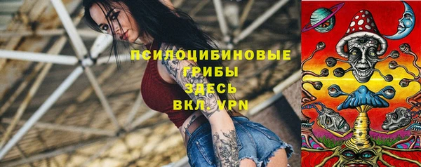 индика Балахна