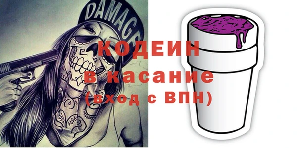 индика Балахна