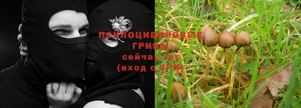 индика Балахна