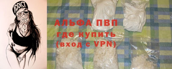 индика Балахна