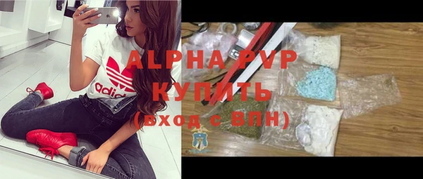 индика Балахна