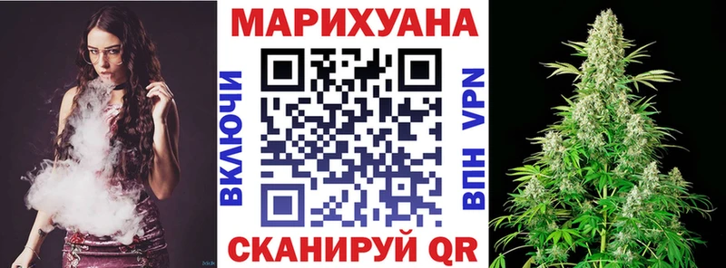 Бошки Шишки планчик Полярный